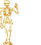 bones0.gif (2766 bytes)